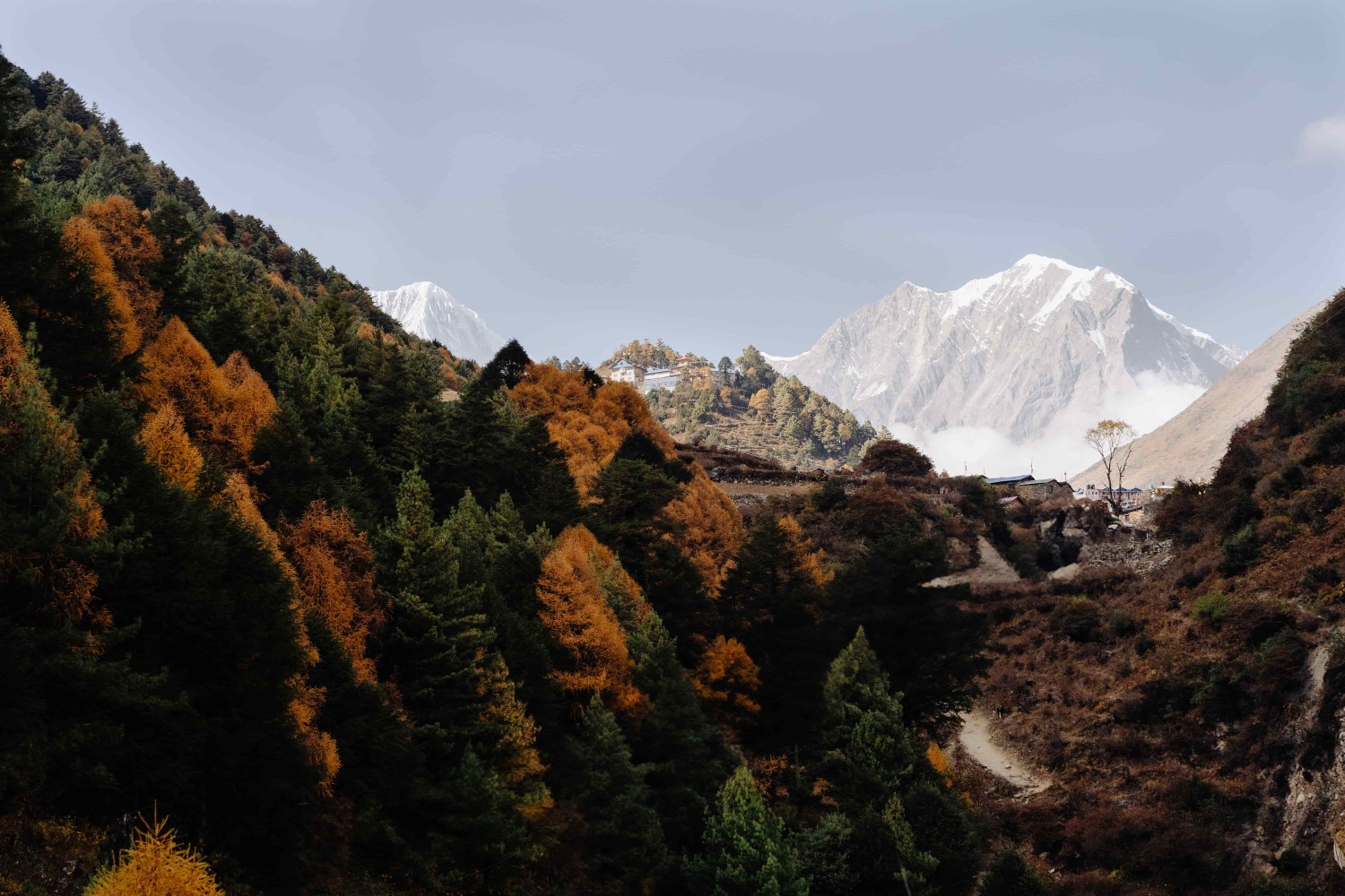  Manaslu Circuit Trekking 
